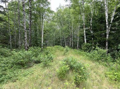 24 Annie's Way, Addison, ME 04606 - photo 5