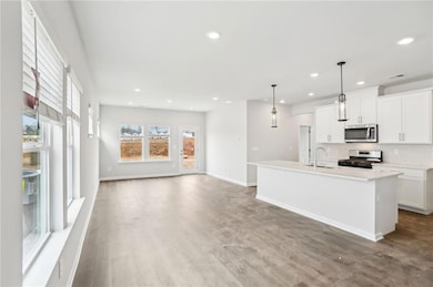 Kitchen with stainless steel appliances, a center 