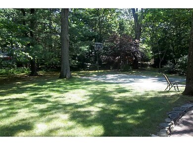 Yard/Garden.