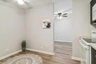 1605 E Central Rd unit 111B, Arlington Heights, IL 60005 - photo 5