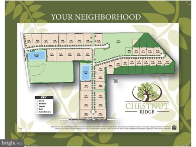 6 Sycamore Ln, Swedesboro, NJ 08085 - photo 2