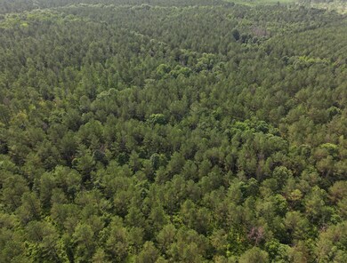 0 Mississippi 46 unit 25-1215, Mantee, MS 39751 - photo 3