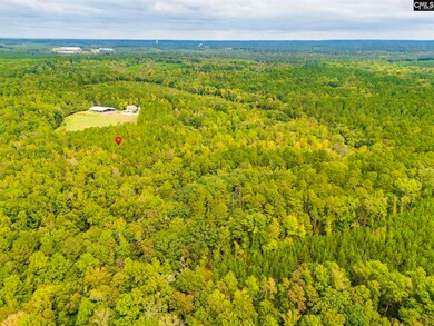 Lot 22 Creekside Way, Ridgeway, SC 29130 - photo 7