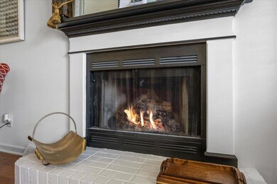 Gas Fire place