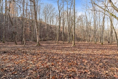 0 Rustling Oaks Dr, Waverly, TN 37185 - photo 2