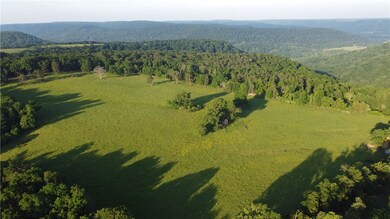 80 Acres Brannon Mountain Rd, Fayetteville, AR 72701 - photo 6