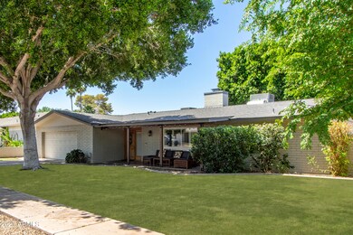 Large Front Yard