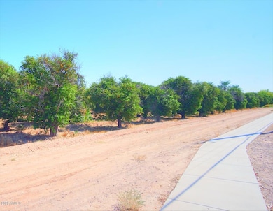3643 E Huber St unit 2, Mesa, AZ 85205 - photo 5