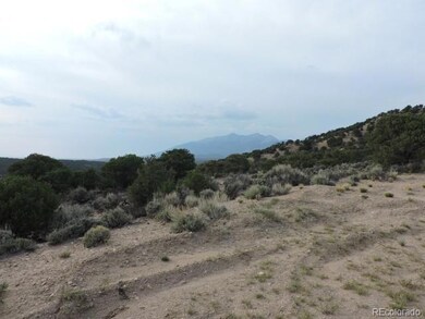 3788 Regan Place, Fort Garland, CO 81133 - photo 3