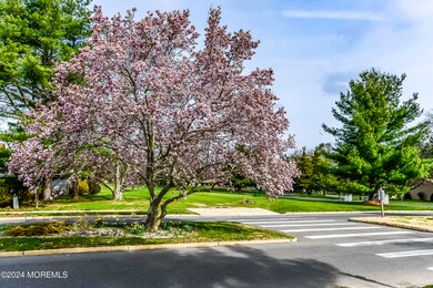 3. Cherry Blossom Tree
