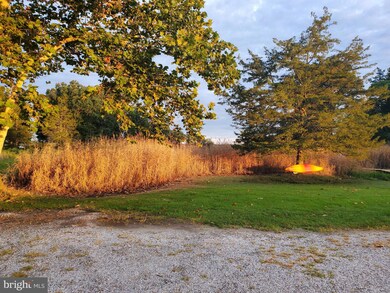 2125 Silver Goose Rd, Cambridge, MD 21613 - photo 4