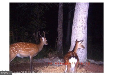 0 Andrews Rd unit 1001675899, Crapo, MD 21626 - photo 3