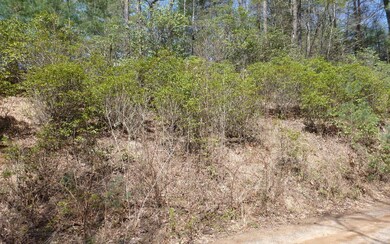 Additional View