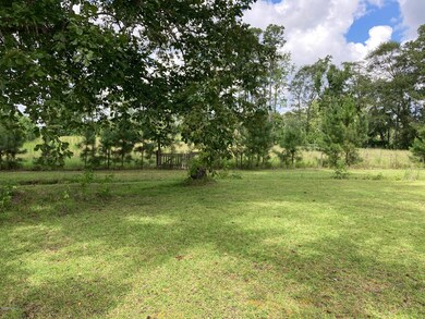 Rear Pasture