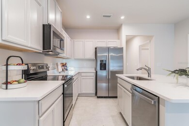 17897 Turning Leaf Cir, Land O Lakes, FL 34638 - photo 7