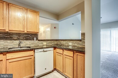 9141 Gracious End Ct, Columbia, MD 21046 - photo 6