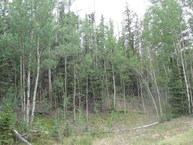 52 Chukar Ln, Como, CO 80432 - photo 3