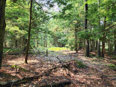 0 Creamery Rd, Fitzwilliam, NH 03447 - photo 7