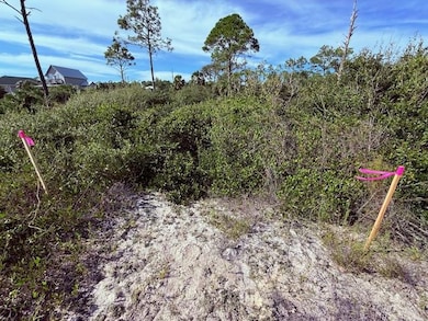 Flags marking End of Driveway
