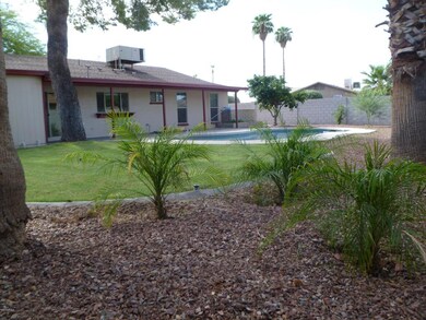Beautiful Backyard