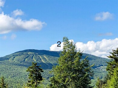 02 Turtle Hill Rd unit 2, Ludlow, VT 05149 - photo 3