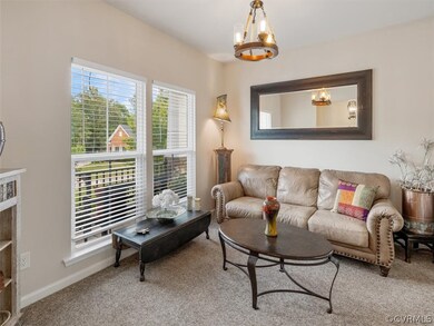 8512 Foster Ridge Terrace, Moseley, VA 23120 - photo 5