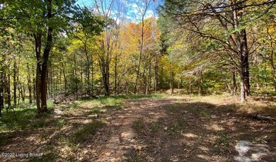 River View Fall251