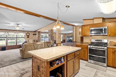 566 McTeer St, Greenback, TN 37742 - photo 6