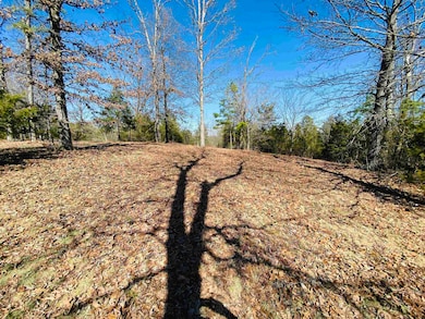 Lots 6,7,8 River Bend Ridge, Calico Rock, AR 72519 - photo 3