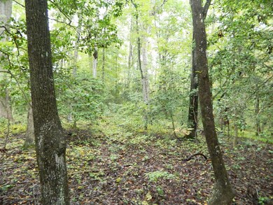 Lot Interior