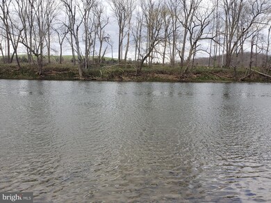 315 River Lakes Dr, Strasburg, VA 22657 - photo 3