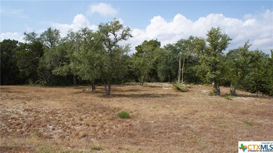 TBD Angelica Vista, Canyon Lake, TX 78133 - photo 2