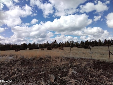 Bourdon Ranch