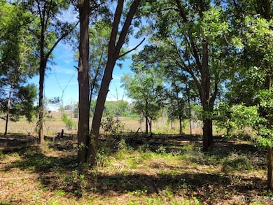 2514 Eisenhower St, Inverness, FL 34453 - photo 3