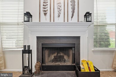 14312 Climbing Rose Way unit 102, Centreville, VA 20121 - photo 4