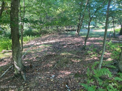 Lot 176 Tink Wig Dr, Lackawaxen Township, PA 18428 - photo 2