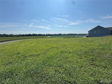 3402 Arbor View Ct, Freeburg, IL 62243 - photo 6