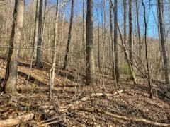 528 Early Deitz Rd, Sylva, NC 28779 - photo 2