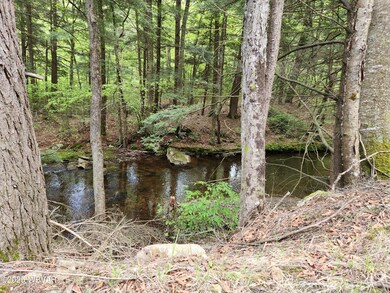 0 Pole Bridge Rd unit LOT 38 WB-100450, Laporte Township, PA 17758 - photo 5