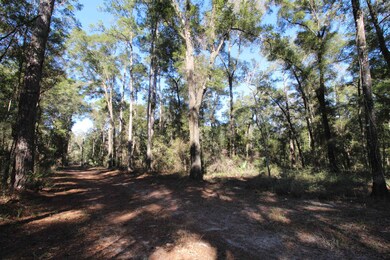 75 Simmie Dr, Crawfordville, FL 32327 - photo 3