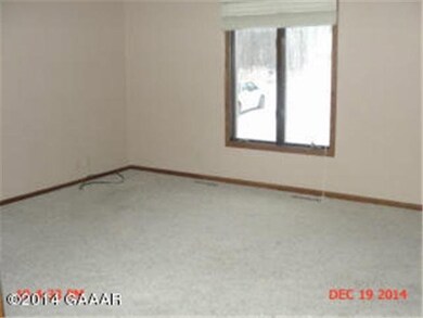 19966 245th Ave, Long Prairie, MN 56347 - photo 7