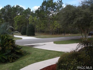 4 Gloxinias Ct, Homosassa, FL 34446 - photo 6