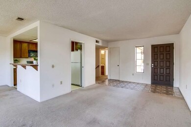 Living room opens up to kitchen