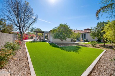 BACKYARD-ARTIFICIAL TURF