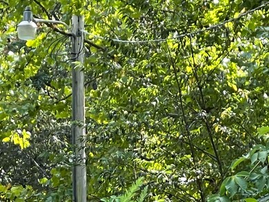 528 Black Oak Rd, Mammoth Spring, AR 72554 - photo 5