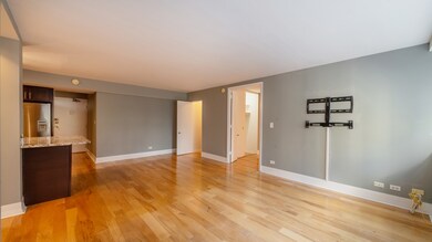 unlisted-address, Chicago, IL 60611 - photo 7