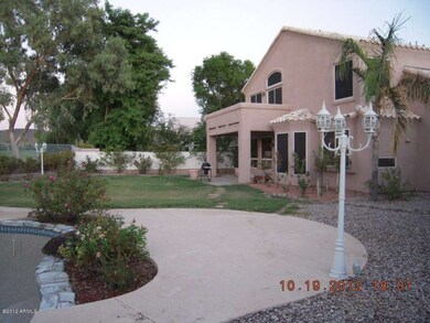 back yard (2)