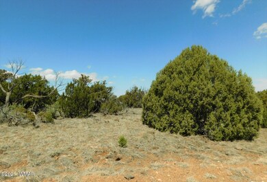 1854 Rainbow Cir Show Low, AZ 85901