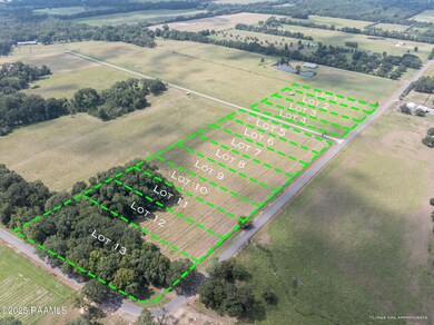 Tbd Begnaud Rd unit 7, Sunset, LA 70584 - photo 6