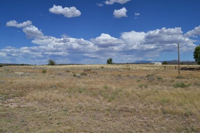 25275 N Naples St, Paulden, AZ 86334 - photo 4